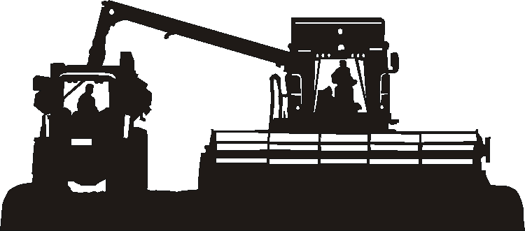 Harvesting Silhouettes