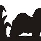 Havanese Hanging Signs
