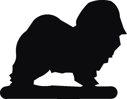 Havanese Hand Stand