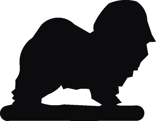 Havanese Post Top