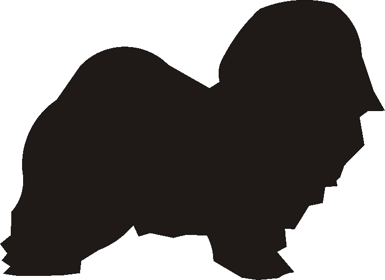 Havanese Silhouettes