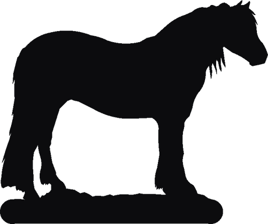 Highland Pony Twilight