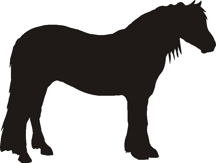 Highland Pony Gate Plates