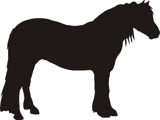 Highland Pony Etched Tumblers