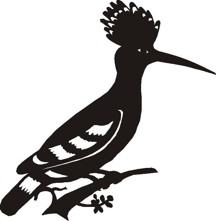 Hoopoe Yorkshire Sign