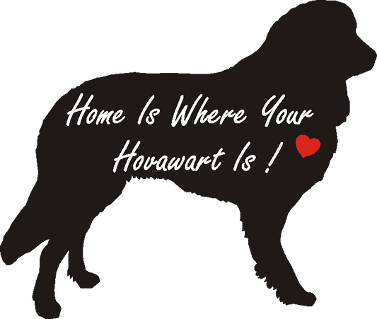 Hovawart Home Is...