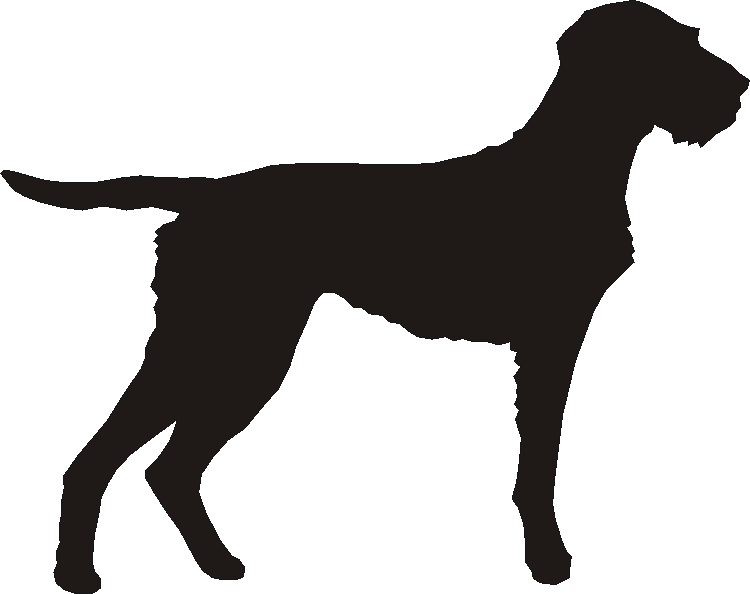 Hungarian Wire Vizsla Silhouettes