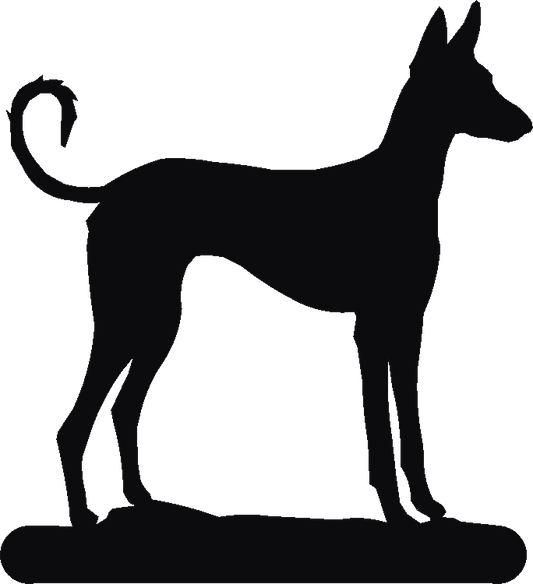 Ibizan Hound Post Top