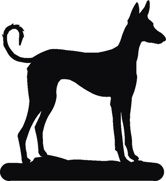 Ibizan Hound Book Ends