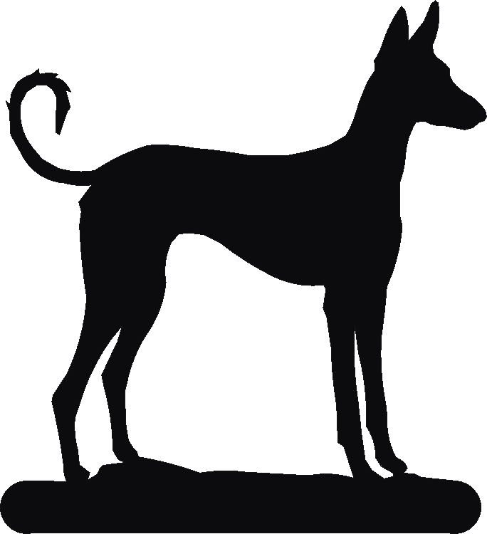 Ibizan Hound Number Plates