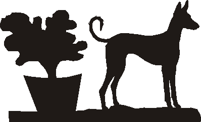 Ibizan Hound Hanging Signs