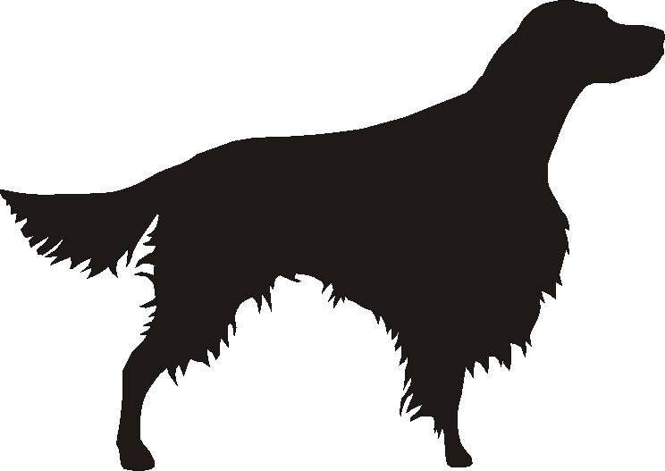 Irish Red & White Setter Silhouettes