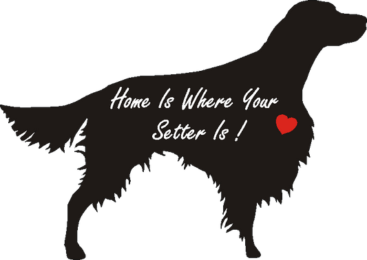 Irish Red & White Setter Home Is...