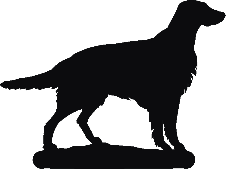 Irish Setter Hand Stand