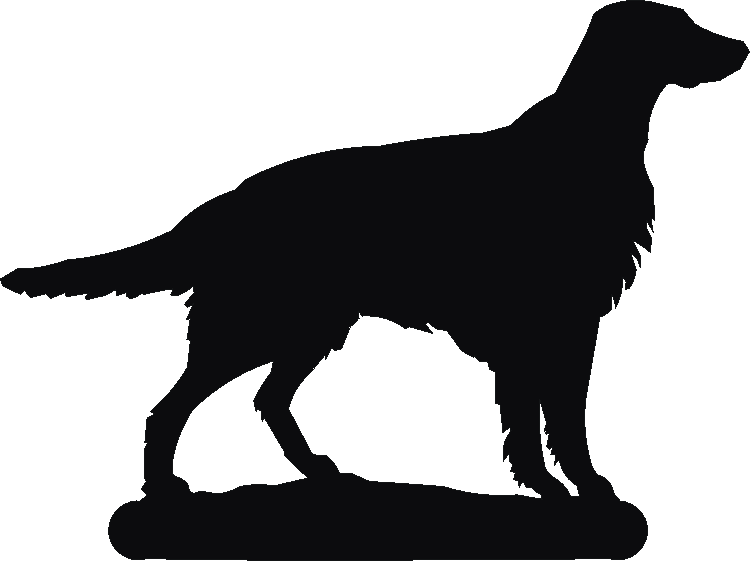 Irish Setter Thermometers
