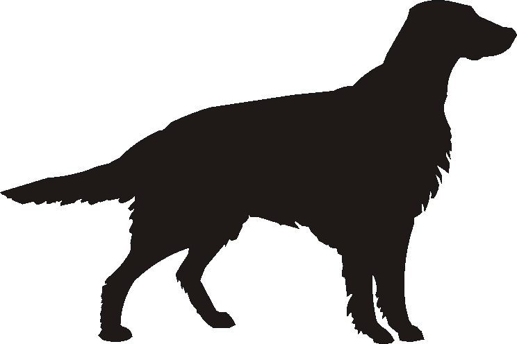 Irish Setter Yorkshire Sign