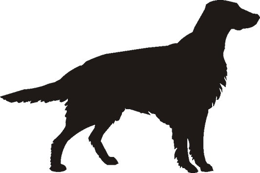 Irish Setter Silhouettes