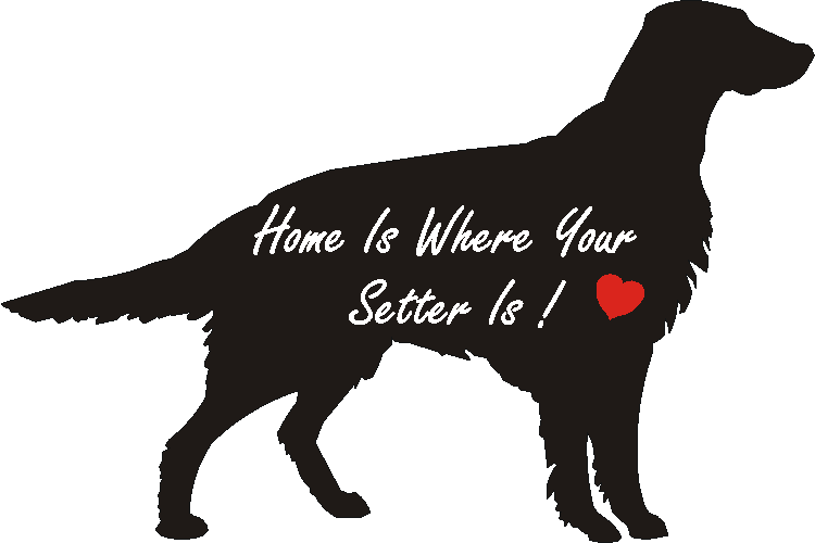 Irish Setter Home Is...