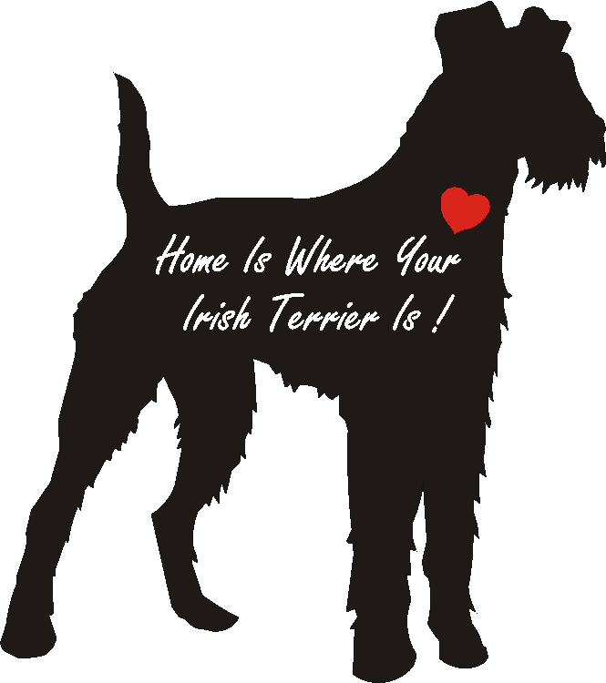 Irish Terrier Home Is...