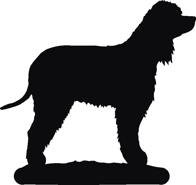 Irish Water Spaniel Noteblock