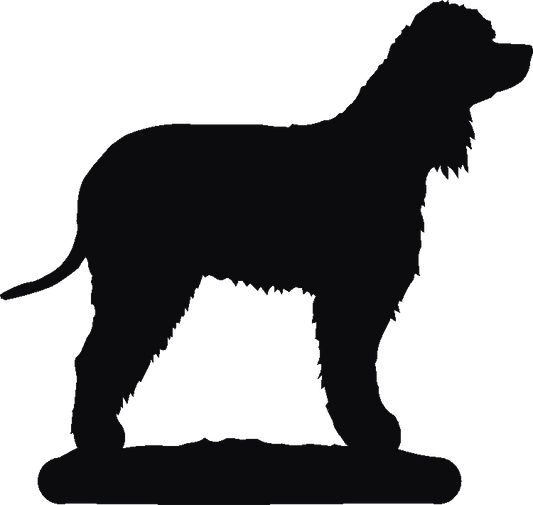 Irish Water Spaniel Post Top