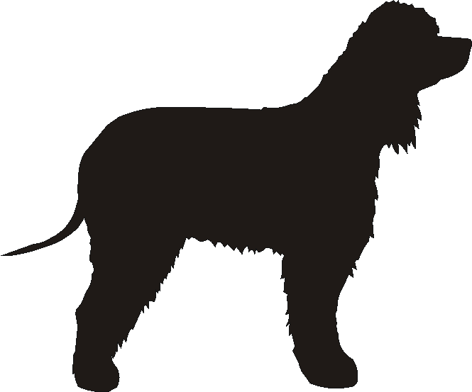 Irish Water Spaniel Yorkshire Sign