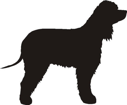 Irish Water Spaniel Gate Plates