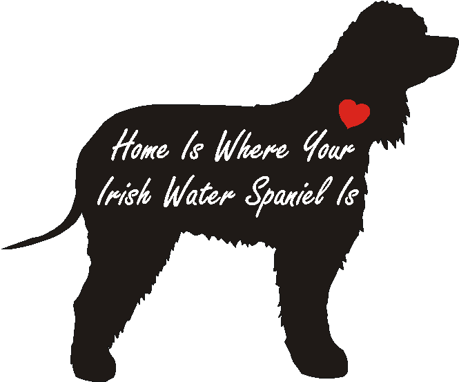 Irish Water Spaniel Home Is...