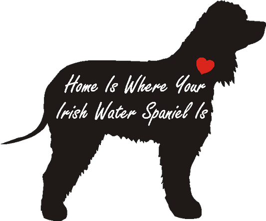 Irish Water Spaniel Home Is...