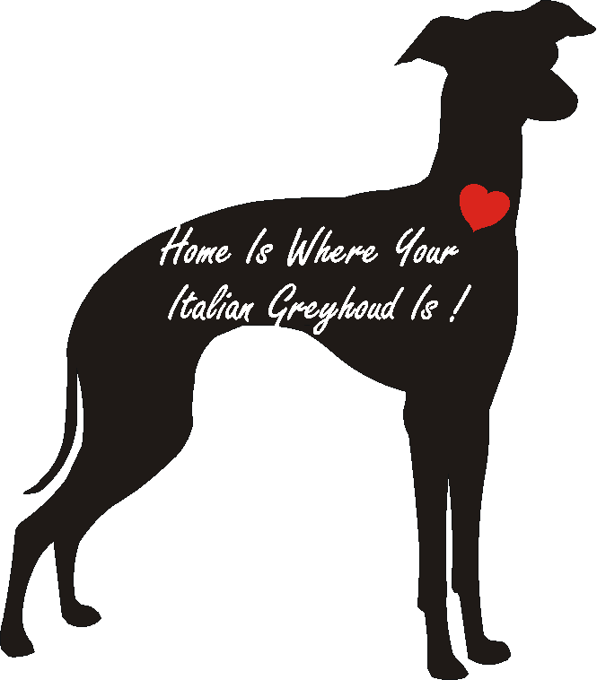 Italian Greyhound Home Is...