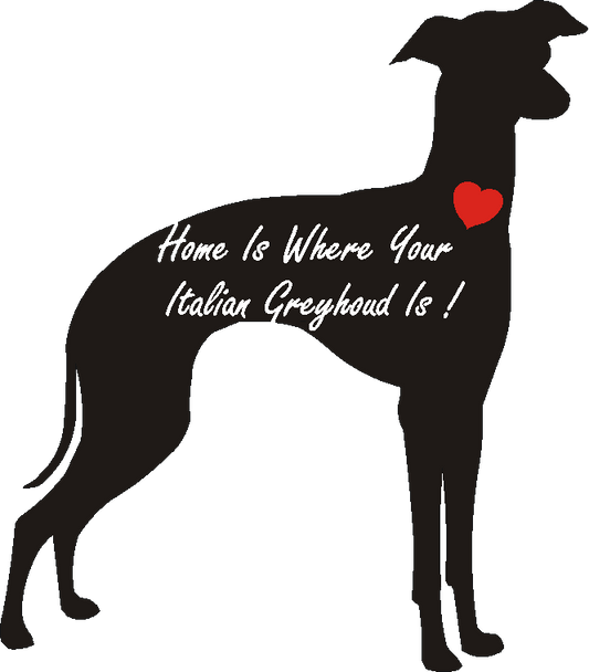 Italian Greyhound Home Is...