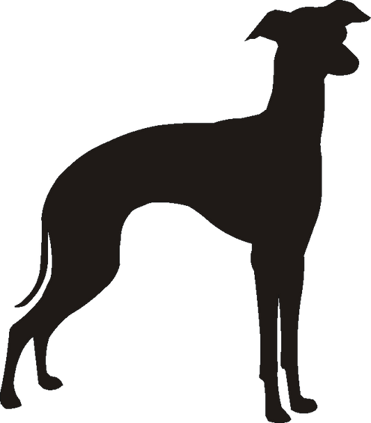 Italian Greyhound Curtain Hook Backs