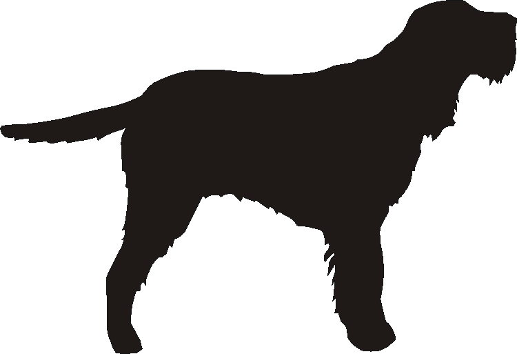 Italian Spinone Silhouettes