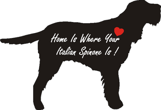 Italian Spinone Home Is...