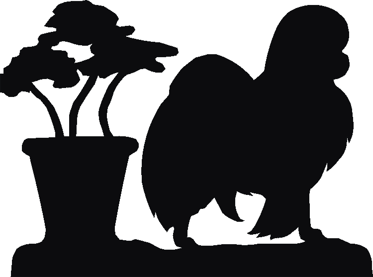 Japanese Chin Silhouettes