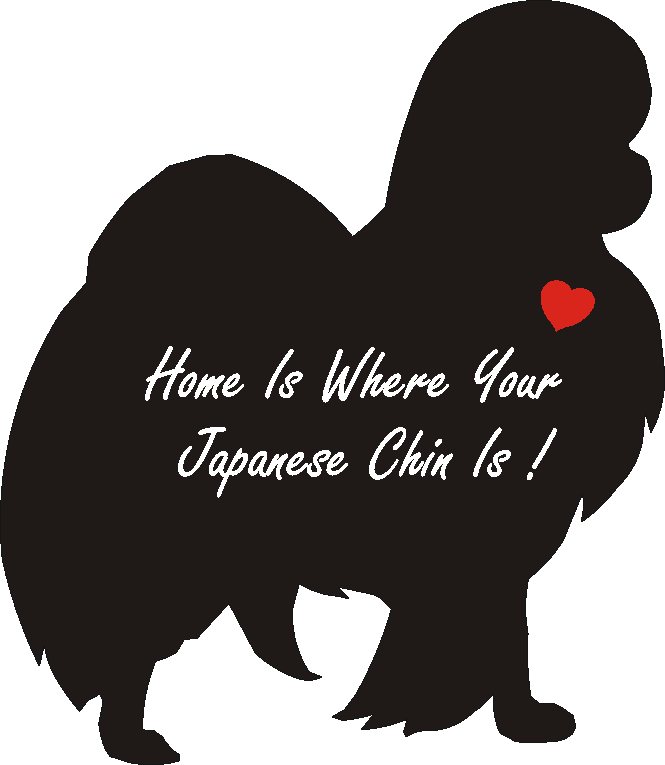 Japanese Chin Home Is...