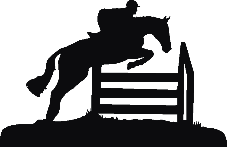 Horse jumping