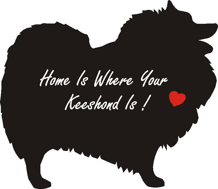 Keeshond Home Is...