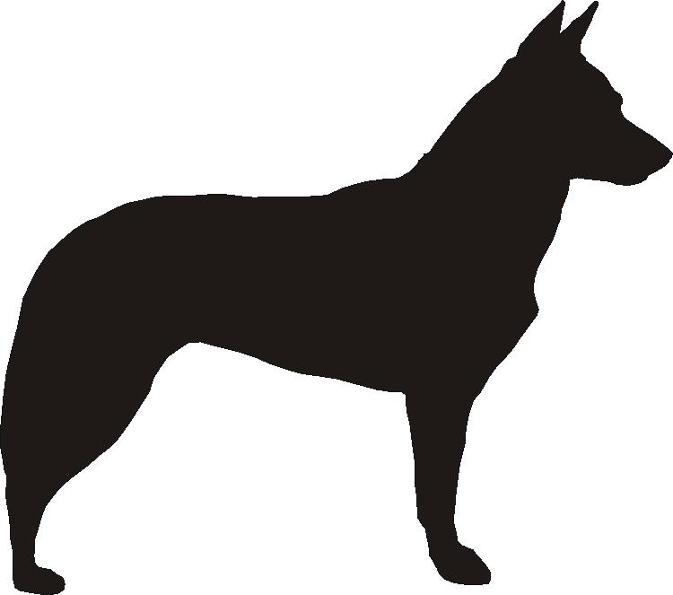 Kelpie Silhouettes