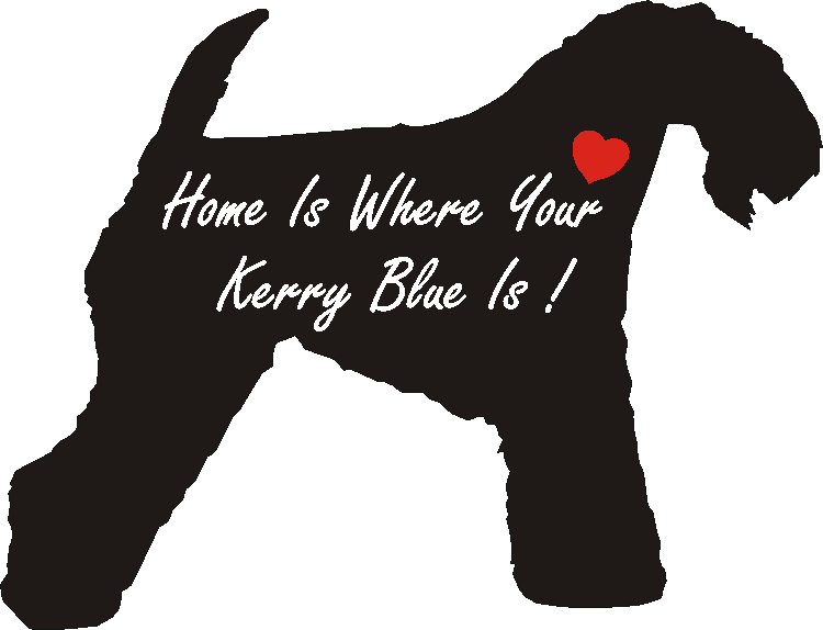 Kerry Blue Home Is...