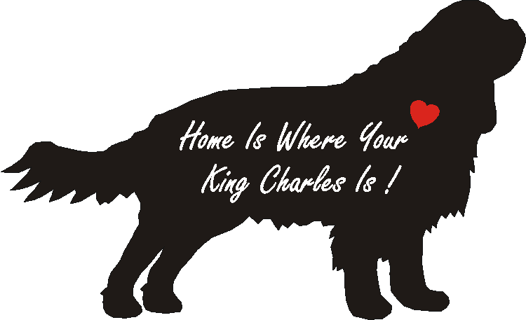 King Charles Spaniel Home Is...