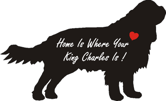 King Charles Spaniel Home Is...