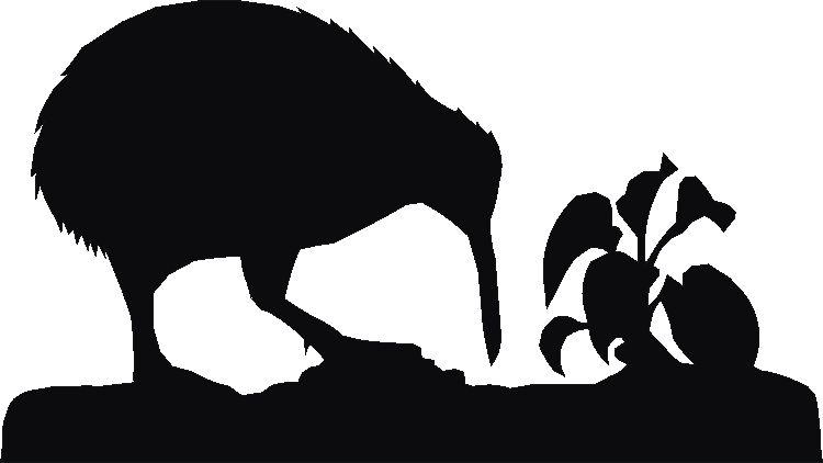 Kiwi Weathervane