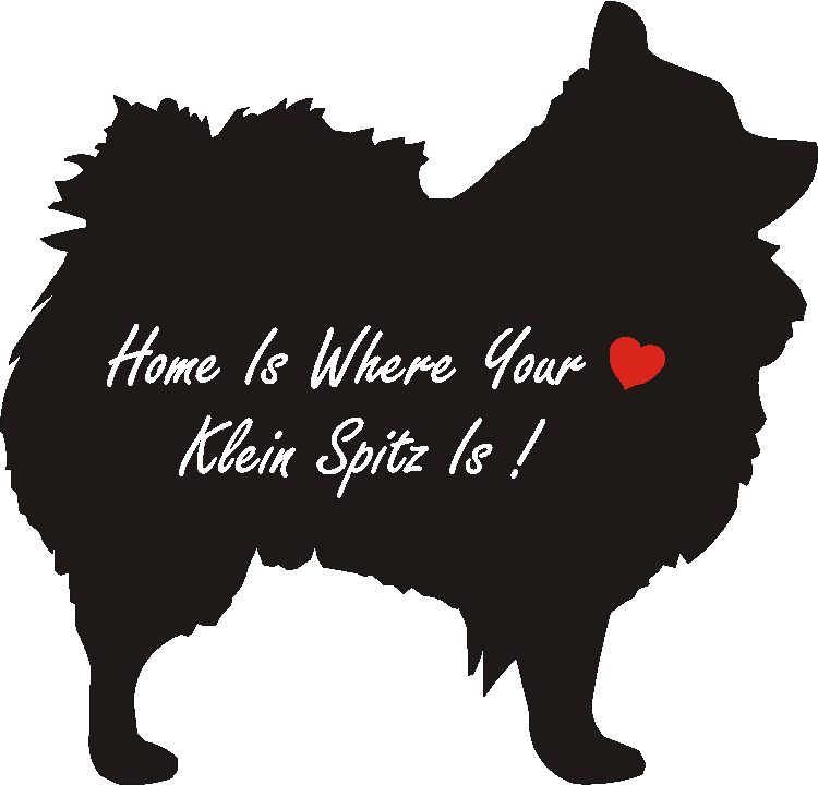 Klien Spitz Home Is...