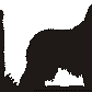 Komondor Hanging Signs