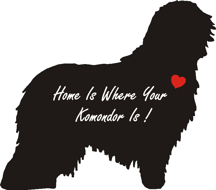 Komondor Home Is...