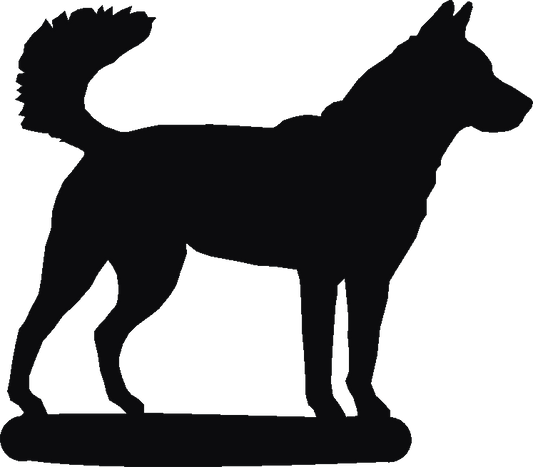 Korean Jindo Post Top