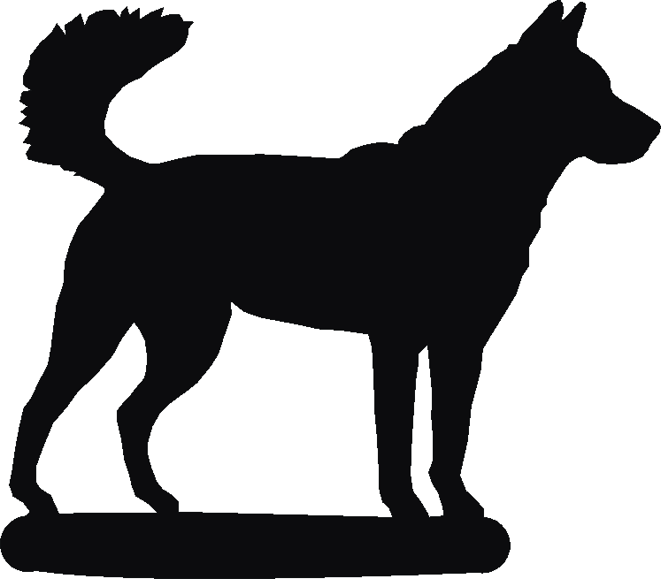 Korean Jindo Book Ends