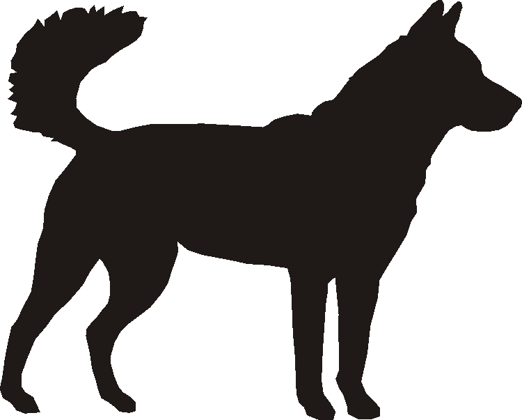 Korean Jindo Silhouettes