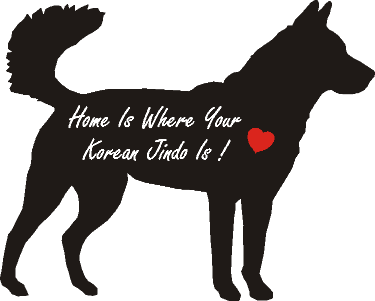 Korean Jindo Home Is...